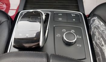 Mercedes-BenZ GLS-Class 350 AMG 2018 4MATIC full