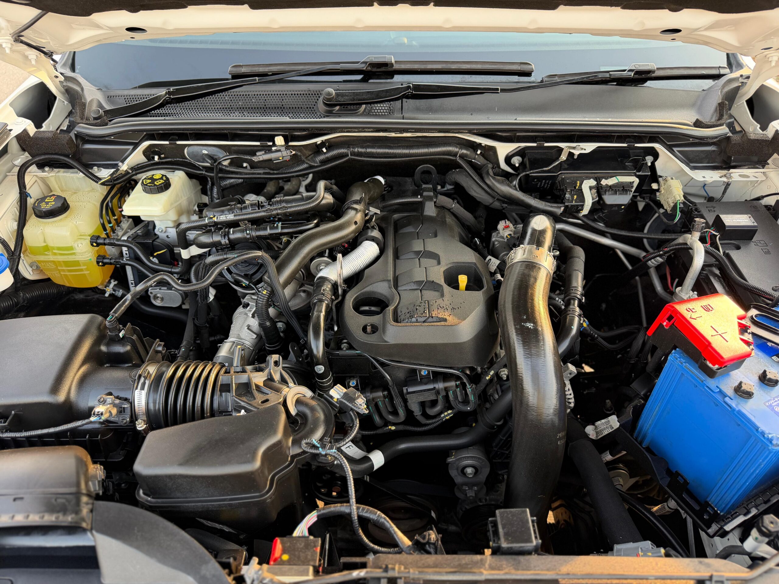 FORD EVEREST TREND 2024 - Image 14