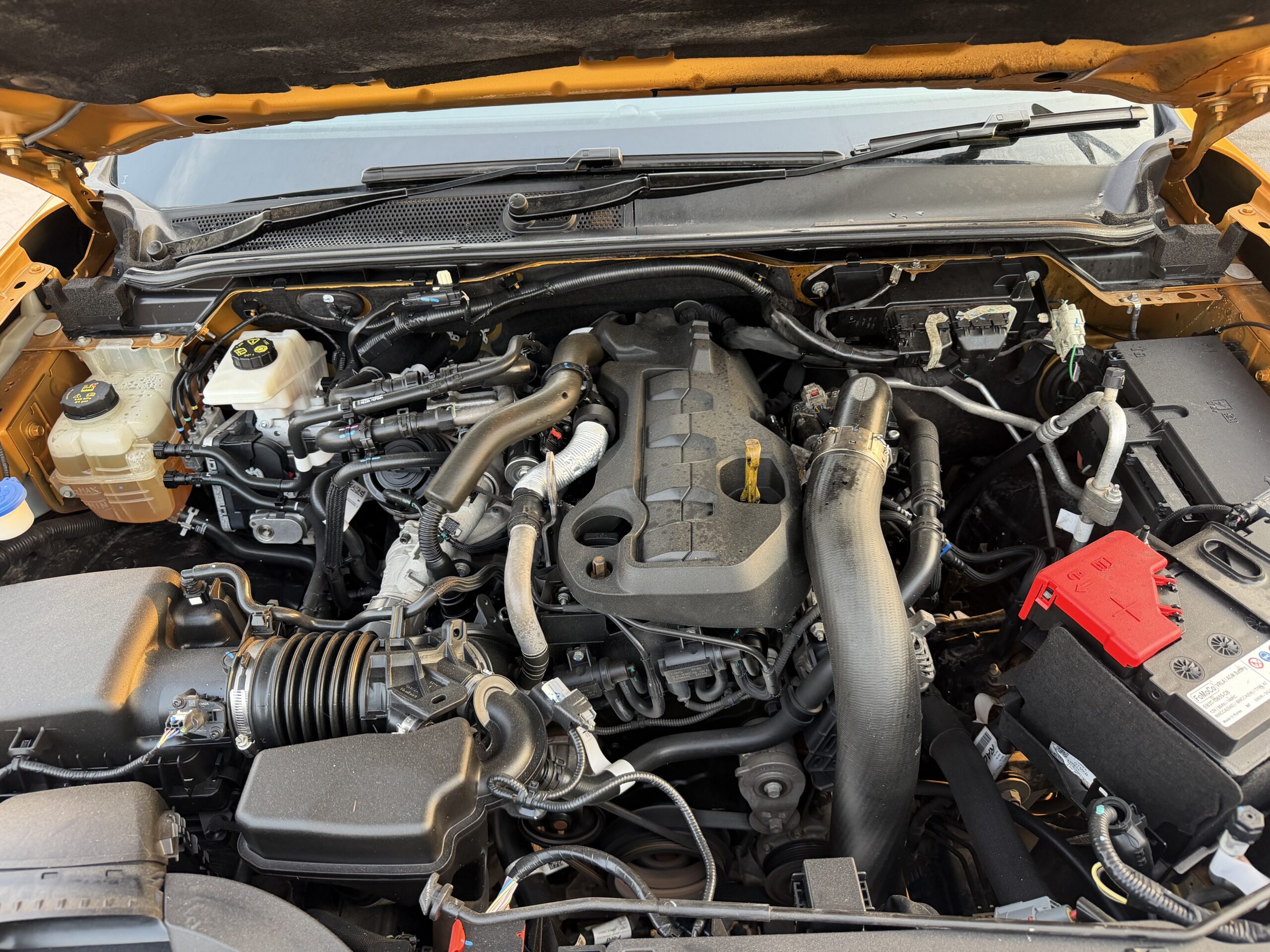 FORD RANGER WILDTRAK 2024 - Image 11